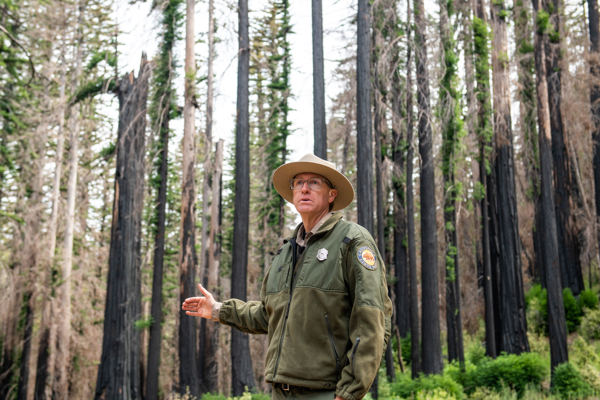 Chris Spohrer, an older man who presents as white, stands in front of fire-blackened redwoods that have much green foliage growing off them. He is wearing a California State Parks uniform of a green jacket with California state seal on the arm, and a wide-brimmed yellow hat.