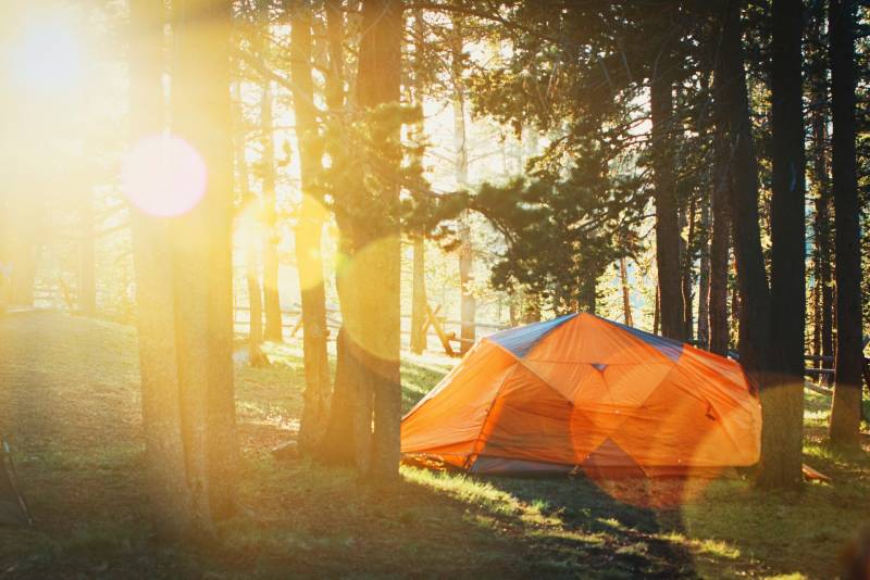 An orange tent sits in a wooded glade, surrounded by trees. On the left of the image the sun catches the lens and creates a flare effect.