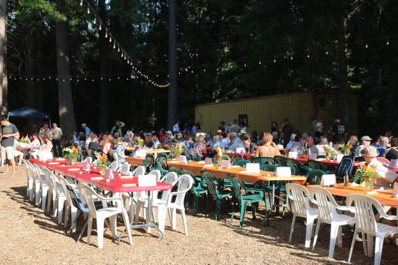 People sit eating and talking at long tables covered with red or orange tablecloths. Strings of lights are overhead, with dark green trees in the background. Vases of fresh orange, yellow and white flowers adorn the tables.