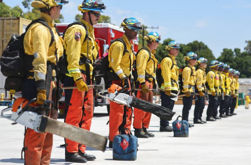 firefighters wearing yellow protective jackets and armed with chainsaws, standing in a forward-facing line.