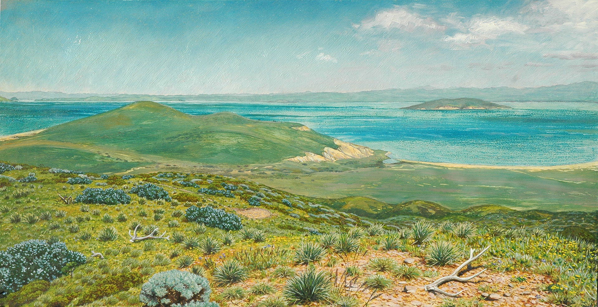 Oil painitng of rollin green hills, scrubby vegetation and a deep blue bay beyond.