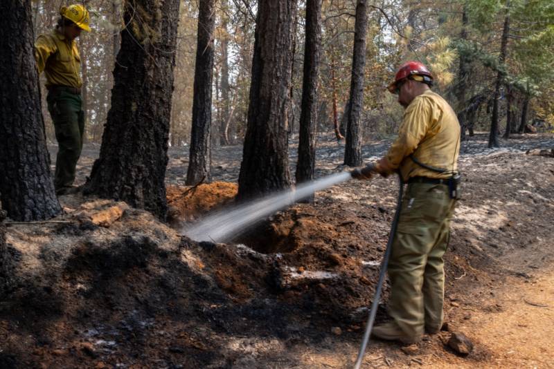 A person wearing firefighter attire holds a hose with water hitting the ground as another person watches by a tree.