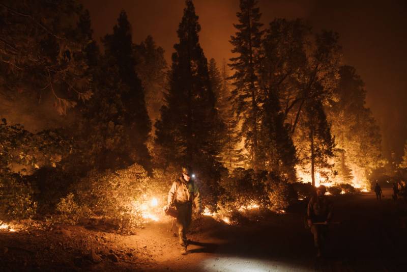 a firefighter in a forest fire