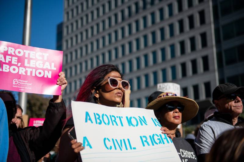 a woman with pink hair holds a sign that reads 'abortion is a civil right'
