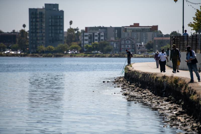 People stand on a walking path and peer down onto the shores and waters of a lake where dead fish line the shores with apartment buildings in the background.