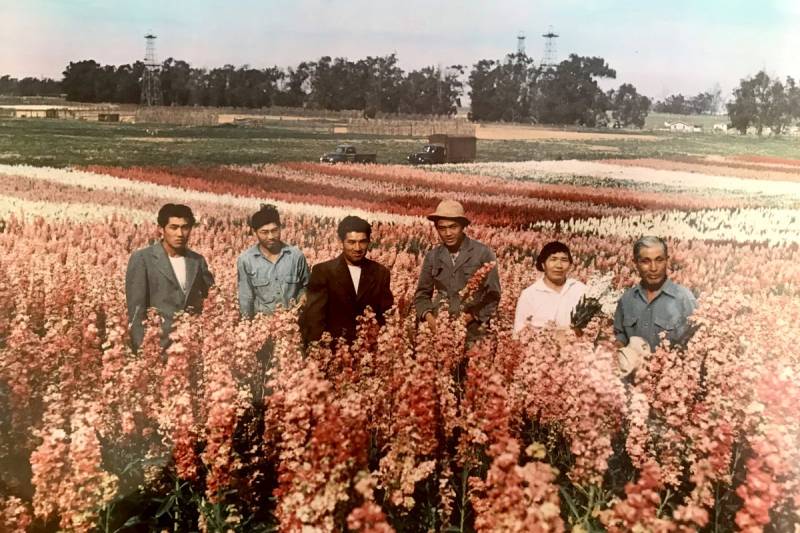A group of Japanese farmers stand in a field.