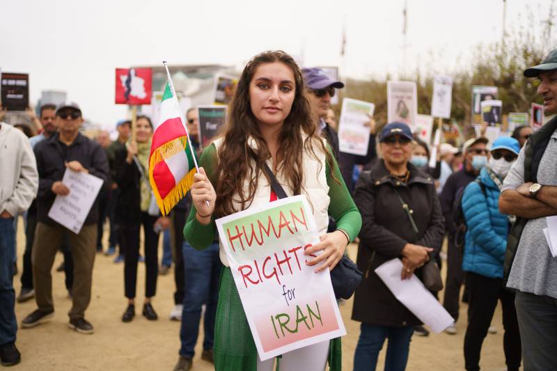A woman dressed in green, holds an Iranian flag with a sign that says "Human Rights for Iran" in a crowd.