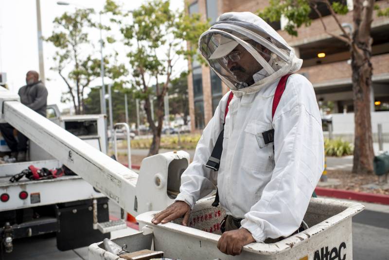 A man wearing a white bee suit holds on to the side of a forklift.