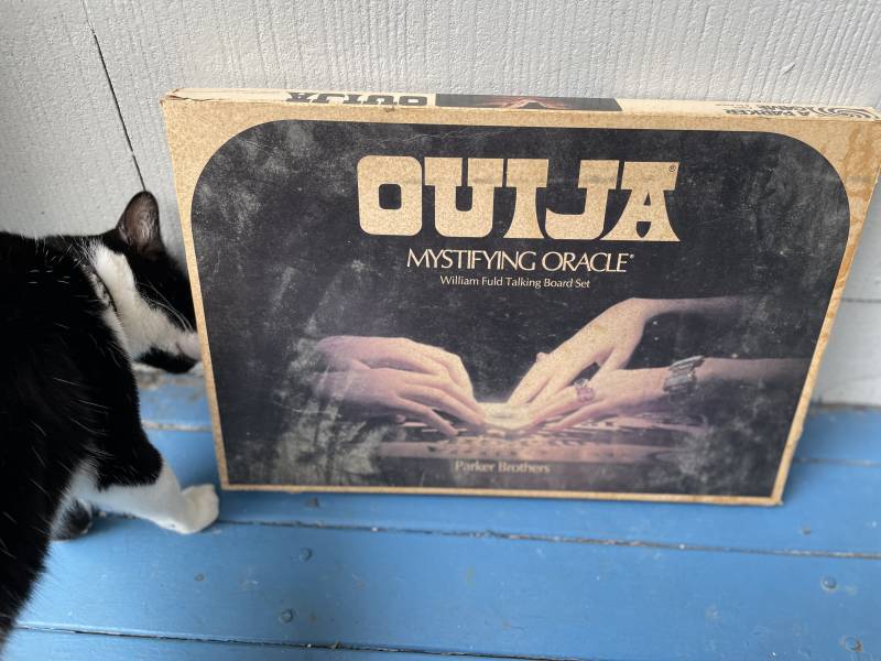 An aged box with the words 'Ouija: Mystifying Oracle' on it, with an image of hands on a planchette. A black and white cat is gingerly sniffing the side of the box.
