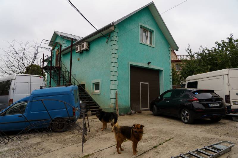 Two dogs stand on the hard-packed dirt in front of a blue-green, two-story building with a peaked roof and gable. Four cars and vans are parked around the building, under a gray sky.