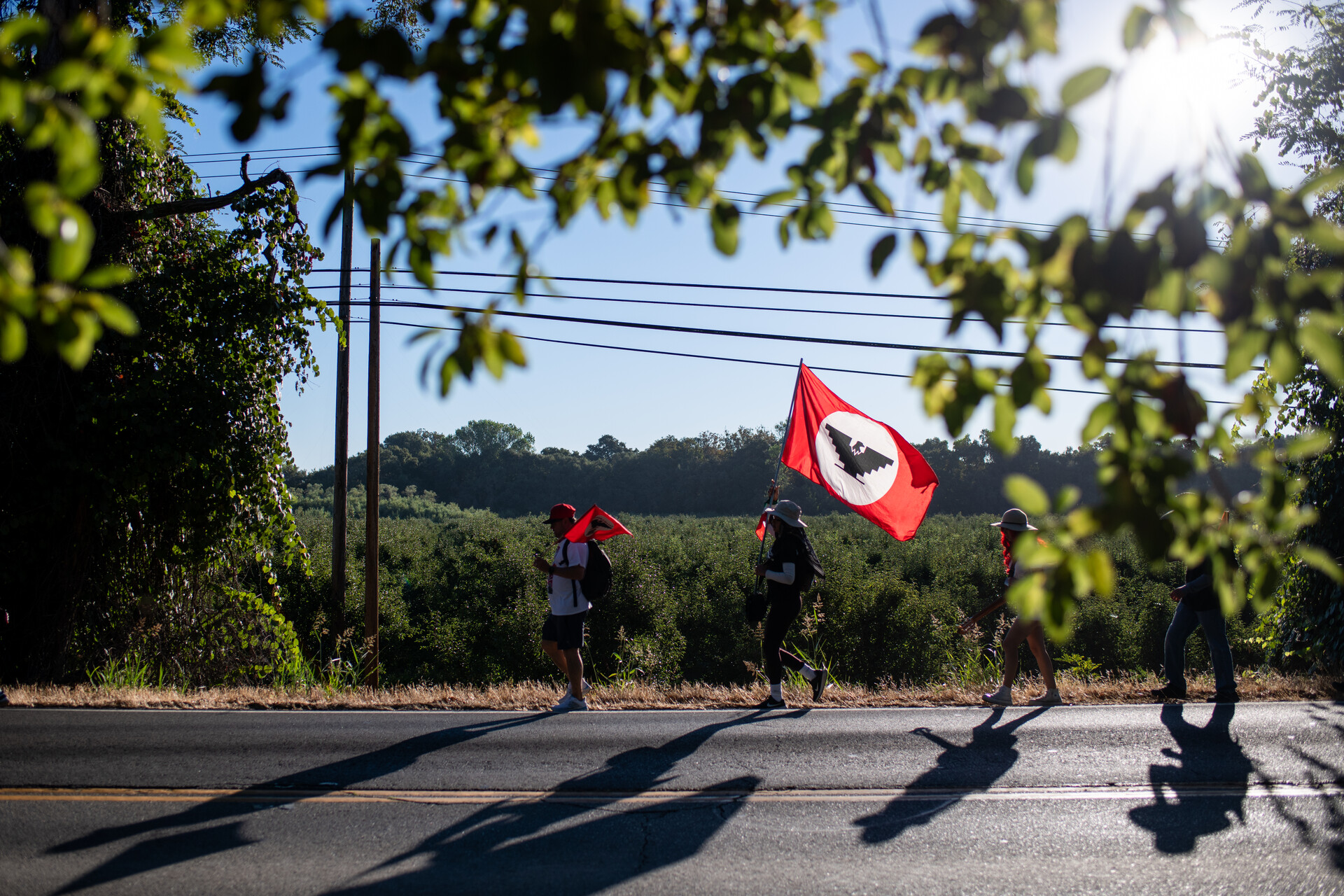 A rural highway set against green fields, where four people can be seen in silhouette marching with red flags.