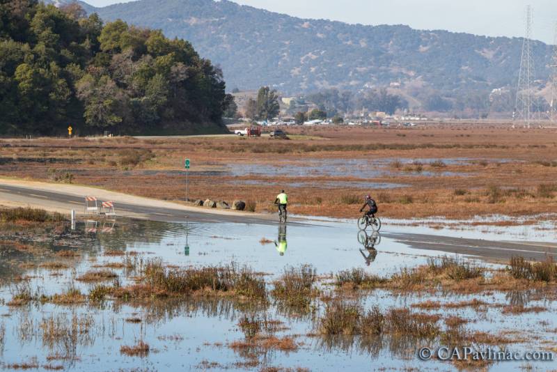 Cyclists ride bikes down a stretch of road covered in water