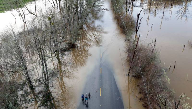 Pedestrians walk on a flooded road, surrounded by trees.