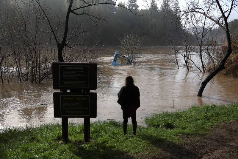 a person is seen from the back looking at a tree floating down a river in a storm