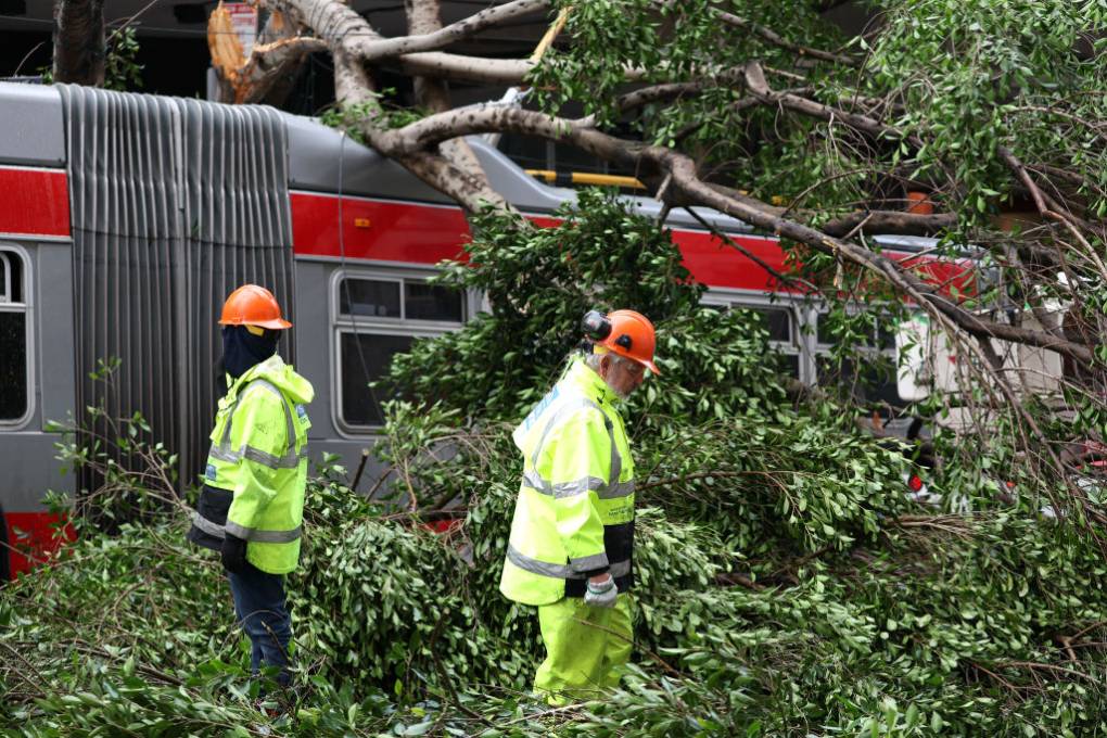 Two municipal workers in fluorescent suits and orange helmets work as a tree lays on top of a bus.