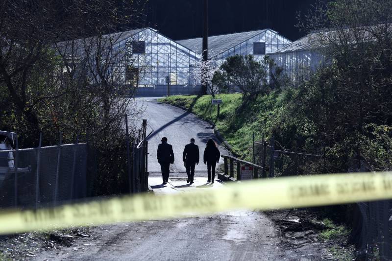 three figures walk along a road towards what appear to be greenhouses in the distance as a yellow crime scene tape crosses the image in the foreground