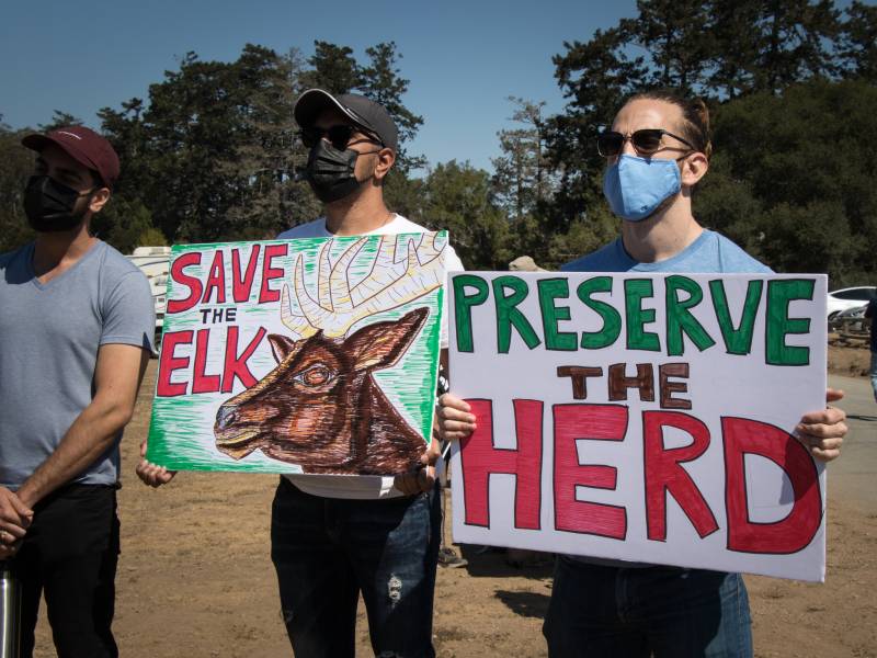 Protesters hold signs that say "Save the Elk" and "Protect the Herd."