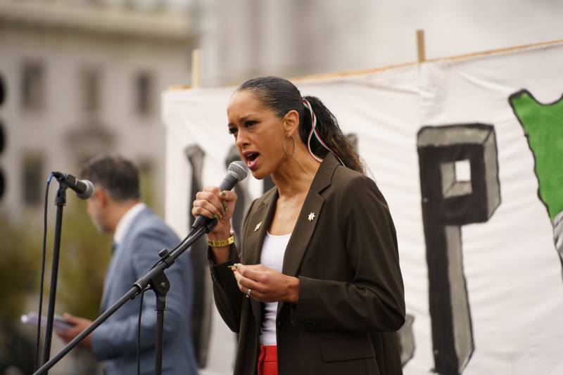 A woman stands speaking into a microphone while wearing a brown jacket, a white top and perhaps red jeans. Behind her is a large banner that is obstructed by her body and not readable.