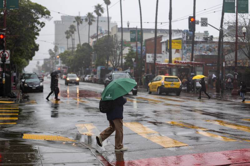 A rainy street in San Francisco, with a person holding a green umbrella crossing the wet pavement. A row of tall palm trees bend in the wind behind them.