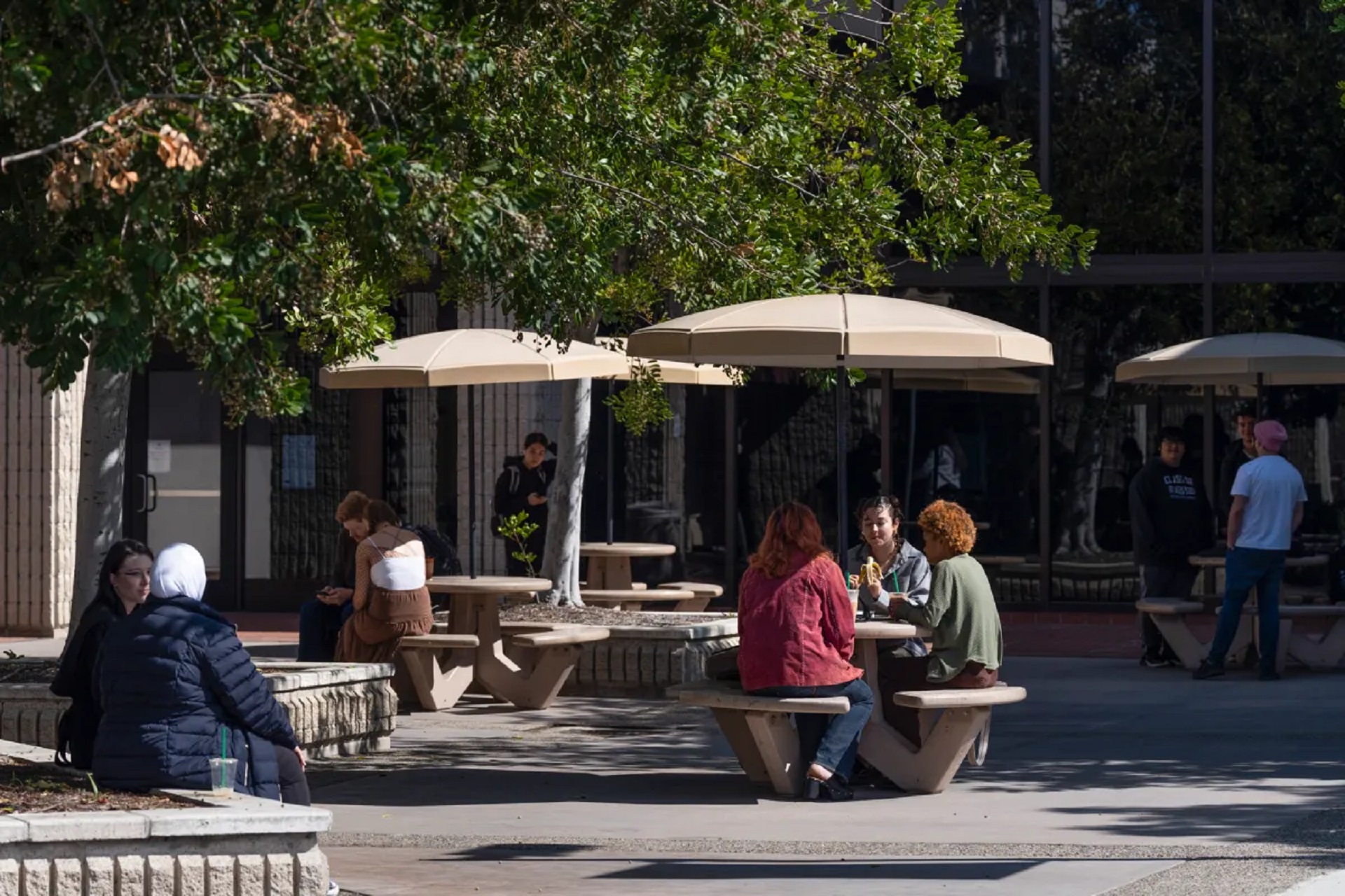 A college campus quad area with circular tables with umbrellas are scattered about. Large planters with trees growing inside shade students sitting in pairs chatting between classes.
