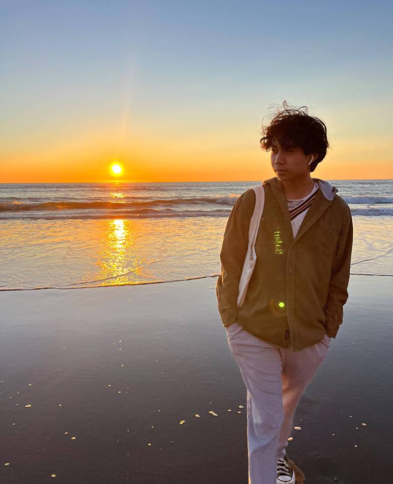 A teenage boy in a tan jacket with dark wavy hair stands on a beach, looking off in the distance as a brilliant orange sun sets over the ocean behind him.