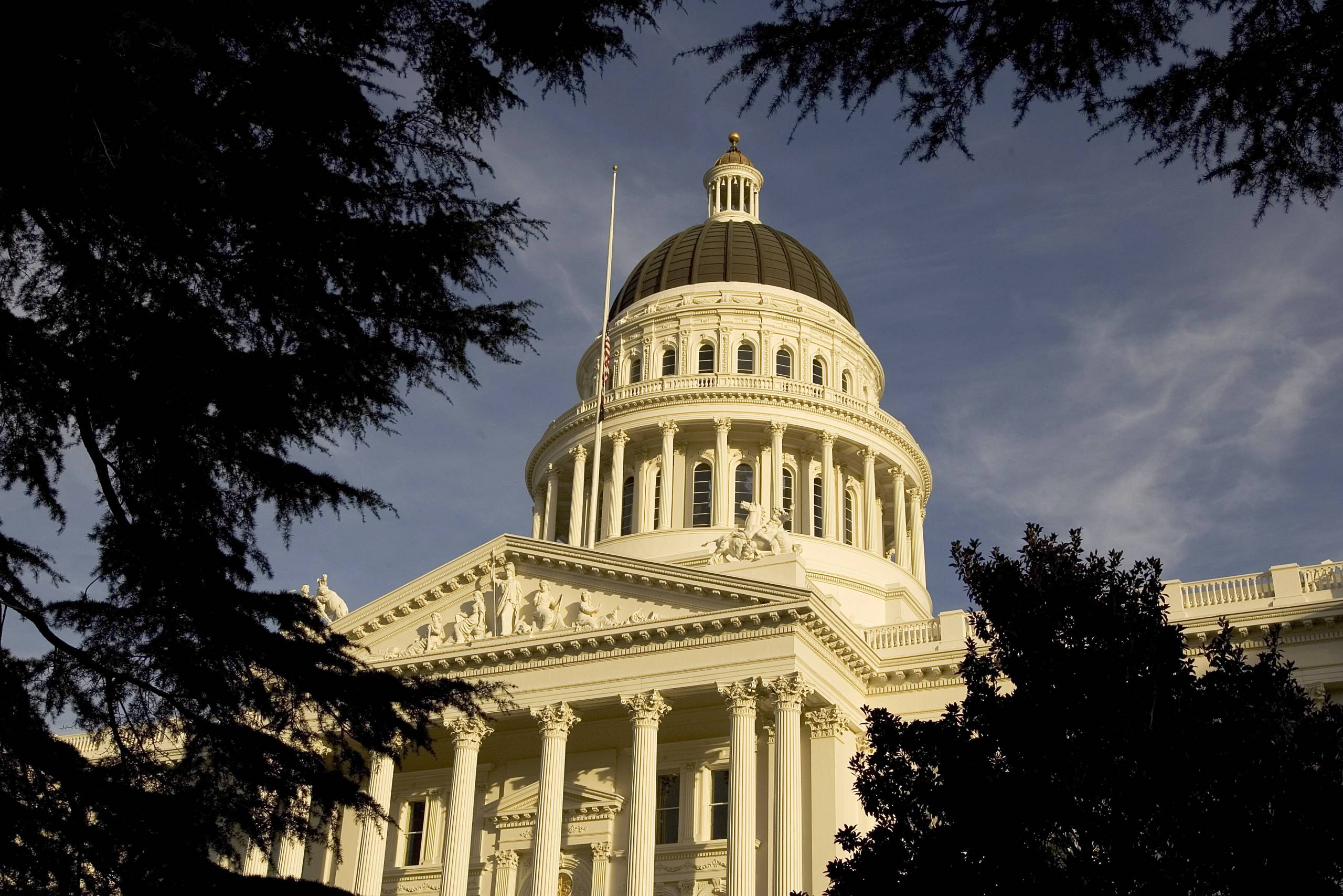 A regal, white building beams down onto foliage and blue skies behind it. It's California's Capitol Building.