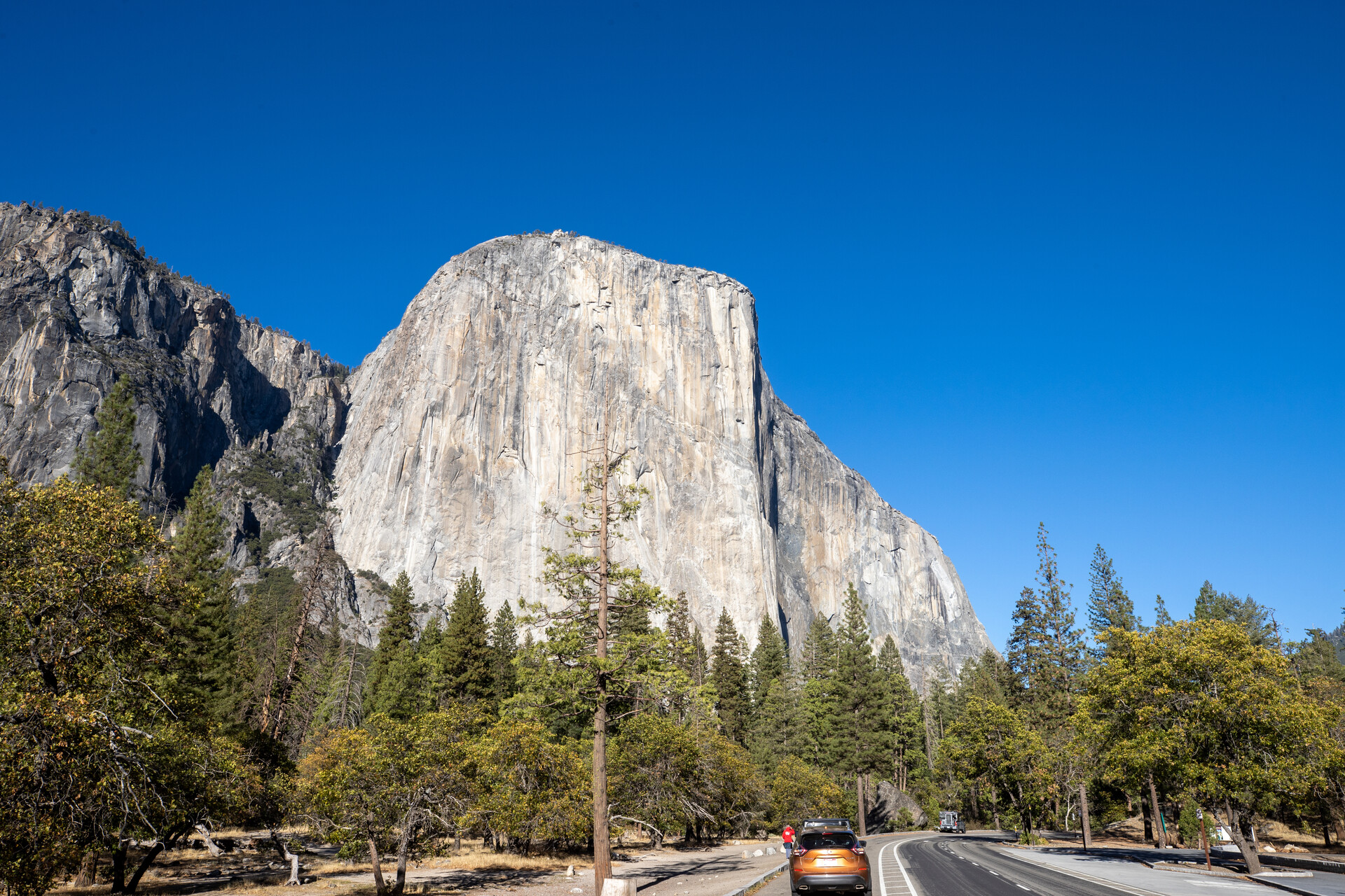 A view of El Capitan in Yosemite, a sheer rock face with a bright blue sky behind it. An orange car drives on the road in the foreground.