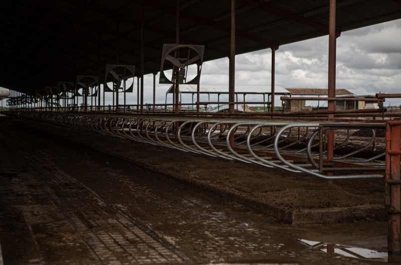 Empty cow stalls on a farm.