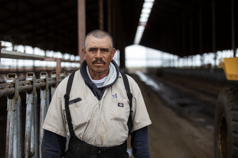 A man wearing a beige shirt, dark long sleeve shirt and suspenders stands in a empty cow stall.