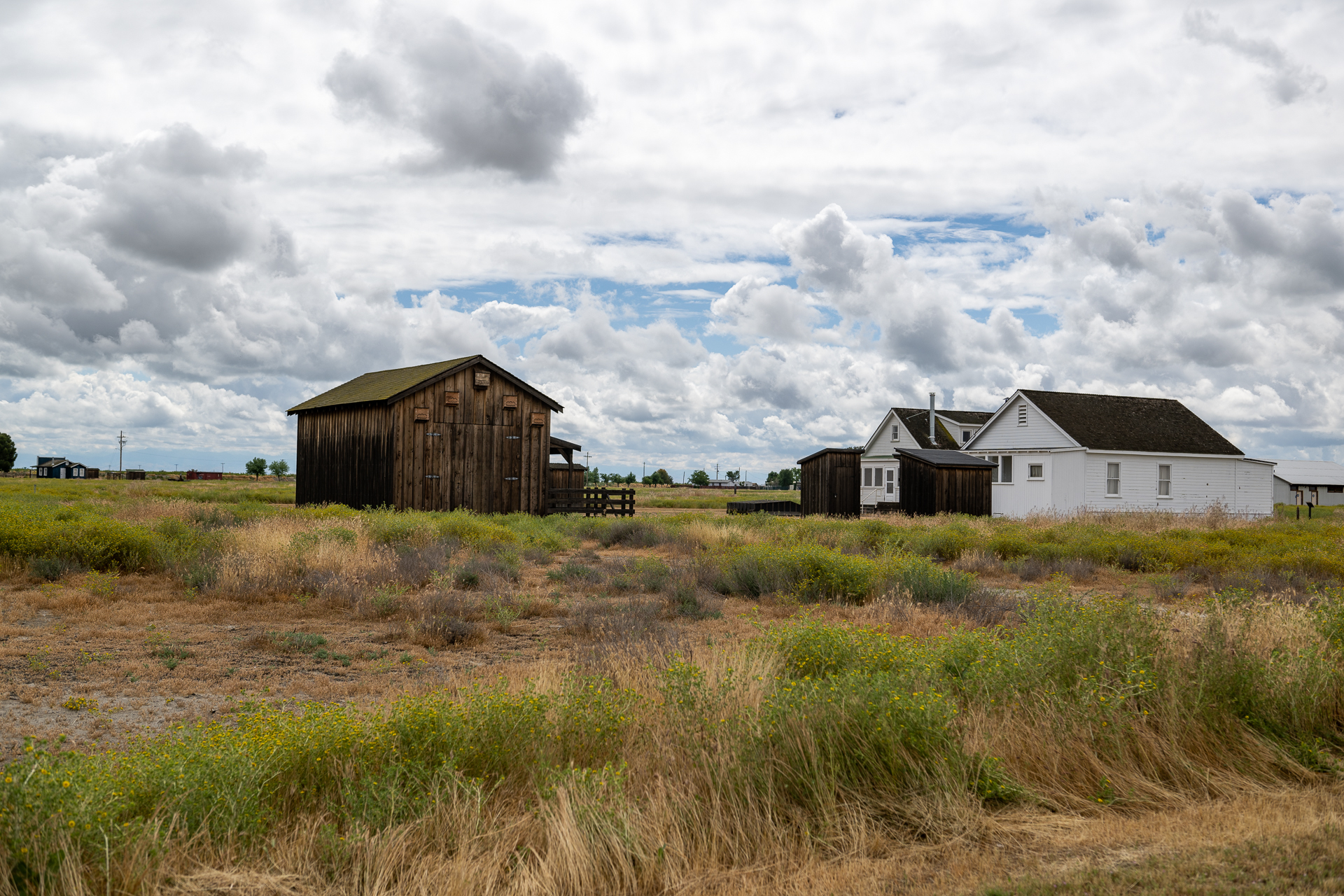An open field with green and tan weeds and plants sits under a gray, cloudy sky. In the center, a brown, wooden barn rests to the left of two, small white homes.