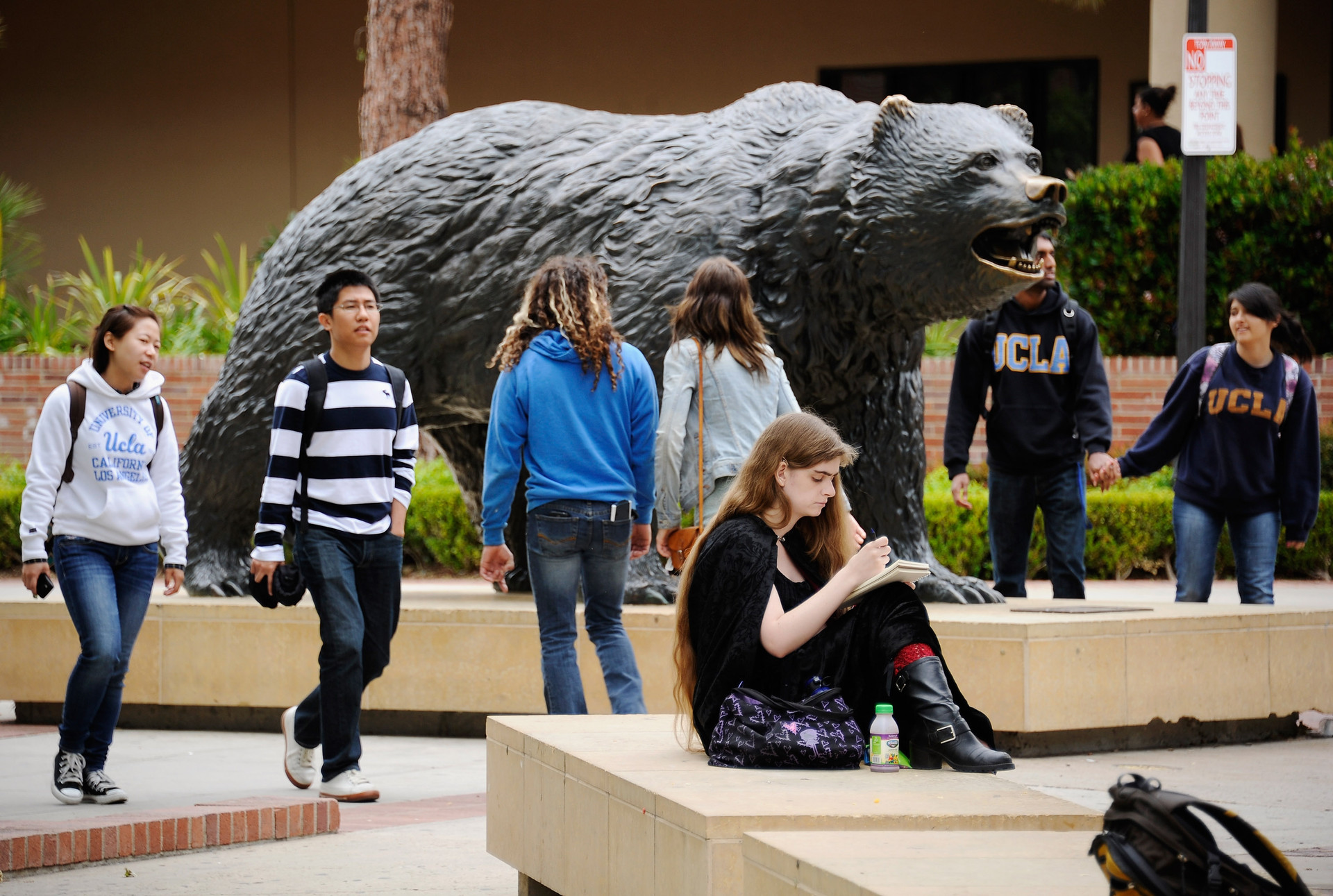 A large, bronze statue of a bear showing its teeth is displayed outdoors on an university campus. Six students in UCLA hooded sweatshirts and jeans walk around the statue on their way to class. One young woman sits on a tan, chunky bench writing on a notepad.