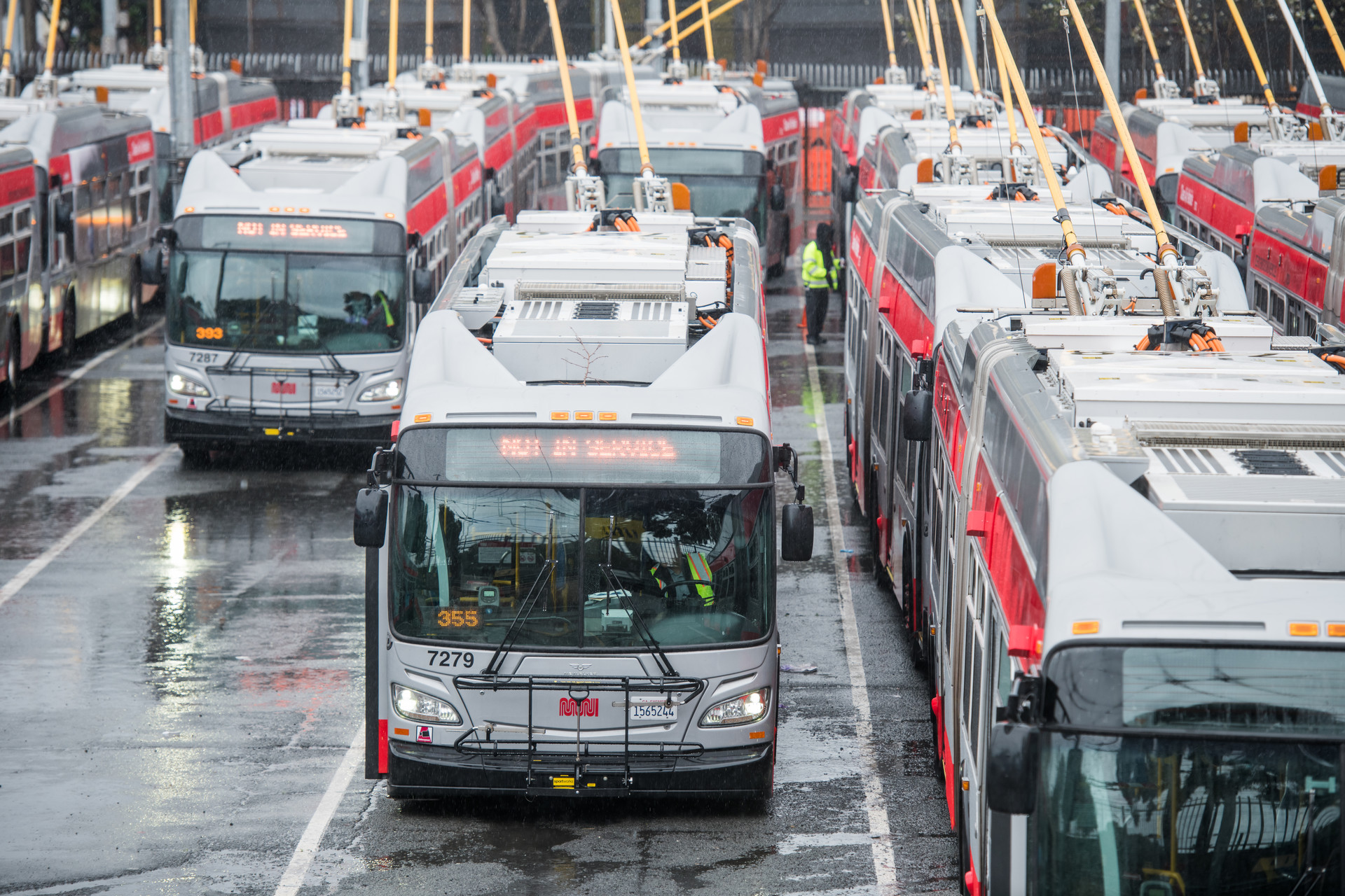 Muni buses parked in San Francisco. They are gray with a red stripe down the side of the bus. The road is wet from rain.