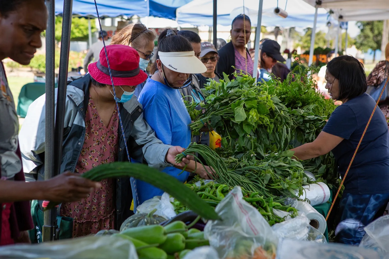 a woman works outside behind a table covered in green vegetables, with a line of people of different races looking through the produce