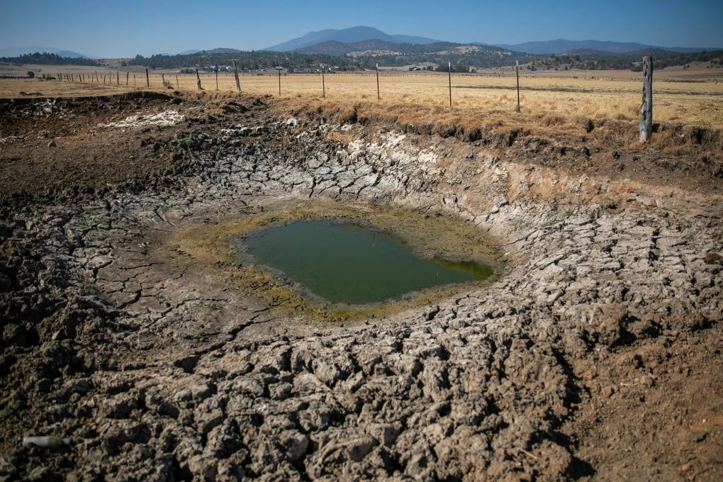 A small puddle of water is left in the middle of a dried up hole in a field, with a fence around it