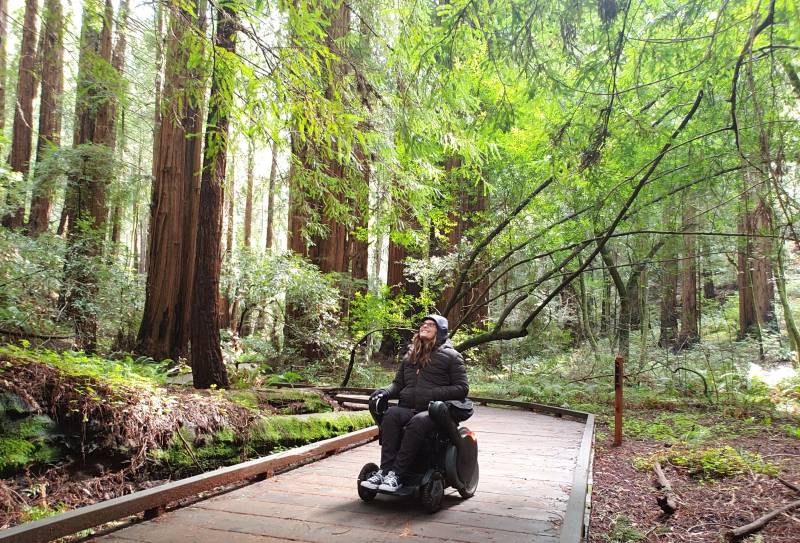 A woman with light skin is wearing a black jacket and sitting in a wheelchair while looking up into the big redwood trees.