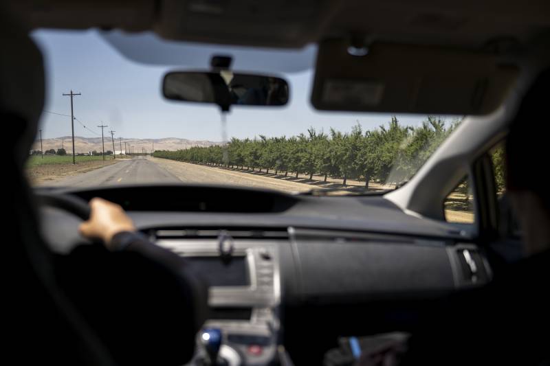 Rows of trees in an orchard line the right hand side of a rural road as seen through the windshield of a car.