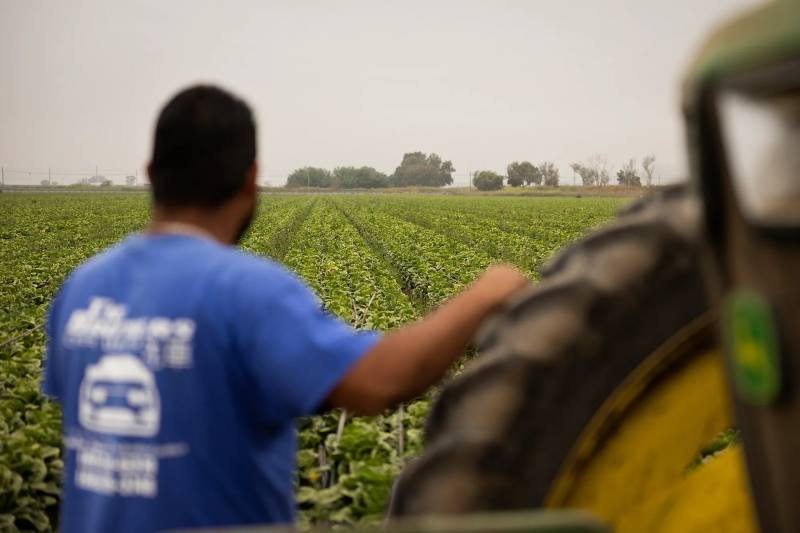 A man in a blue T-shirt stands beside a large tractor's tire as he overlooks a blooming, green field of crops. His arm rests on the large, black and yellow tractor tire. His back is toward the camera.