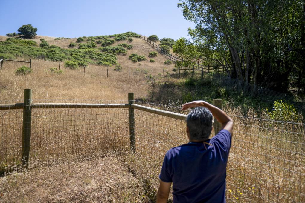 A person holds up their hand to shield their eyes from the sun while looking out over a grassy hillside.