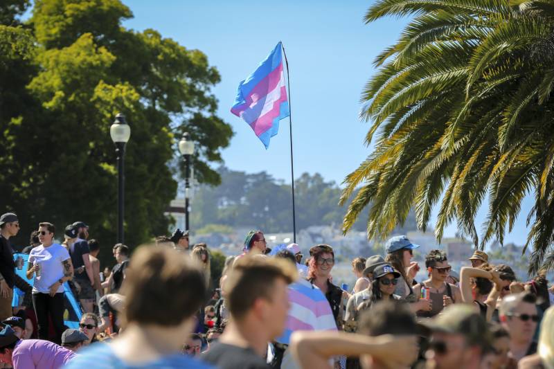 People gather in an outdoor space with trans rights flags.