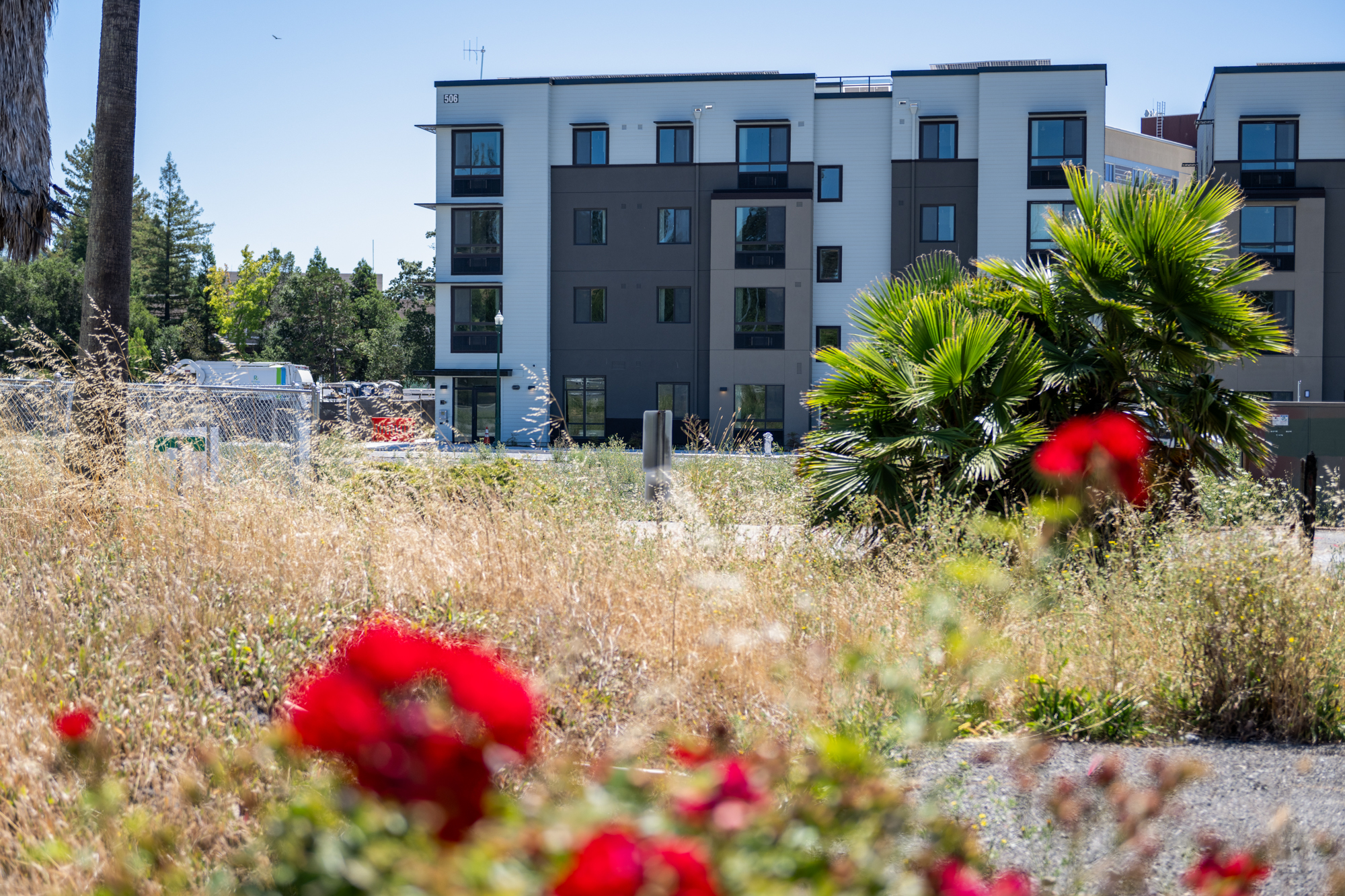 A new condo building is seen through the overgrown grasses of the lot across the street.