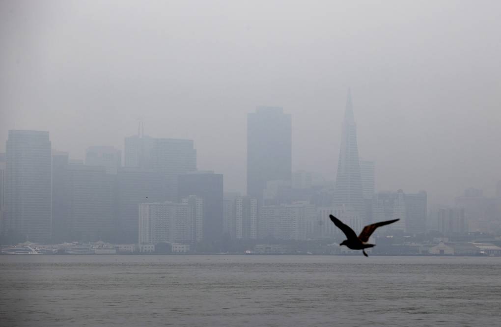 A city skyline blends into a gray haze as a bird flies by.