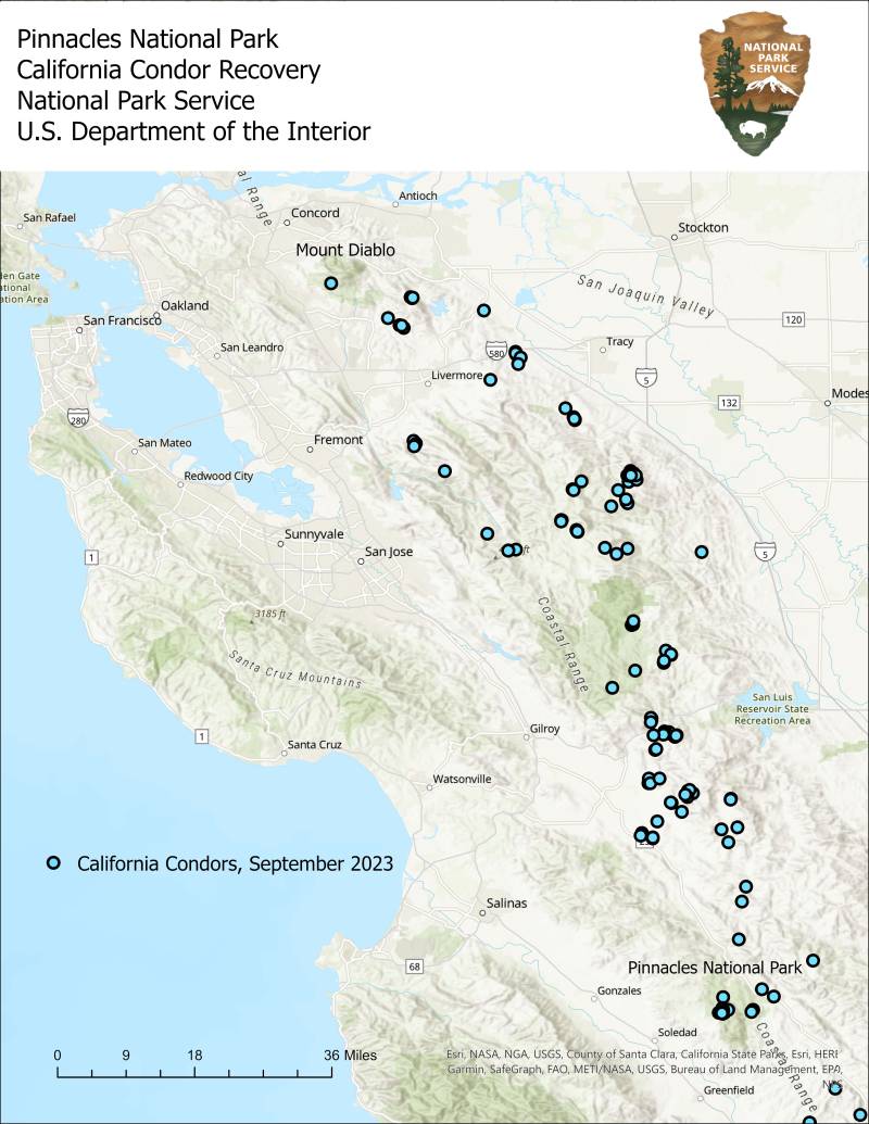 A map that shows the locations of condors in California.