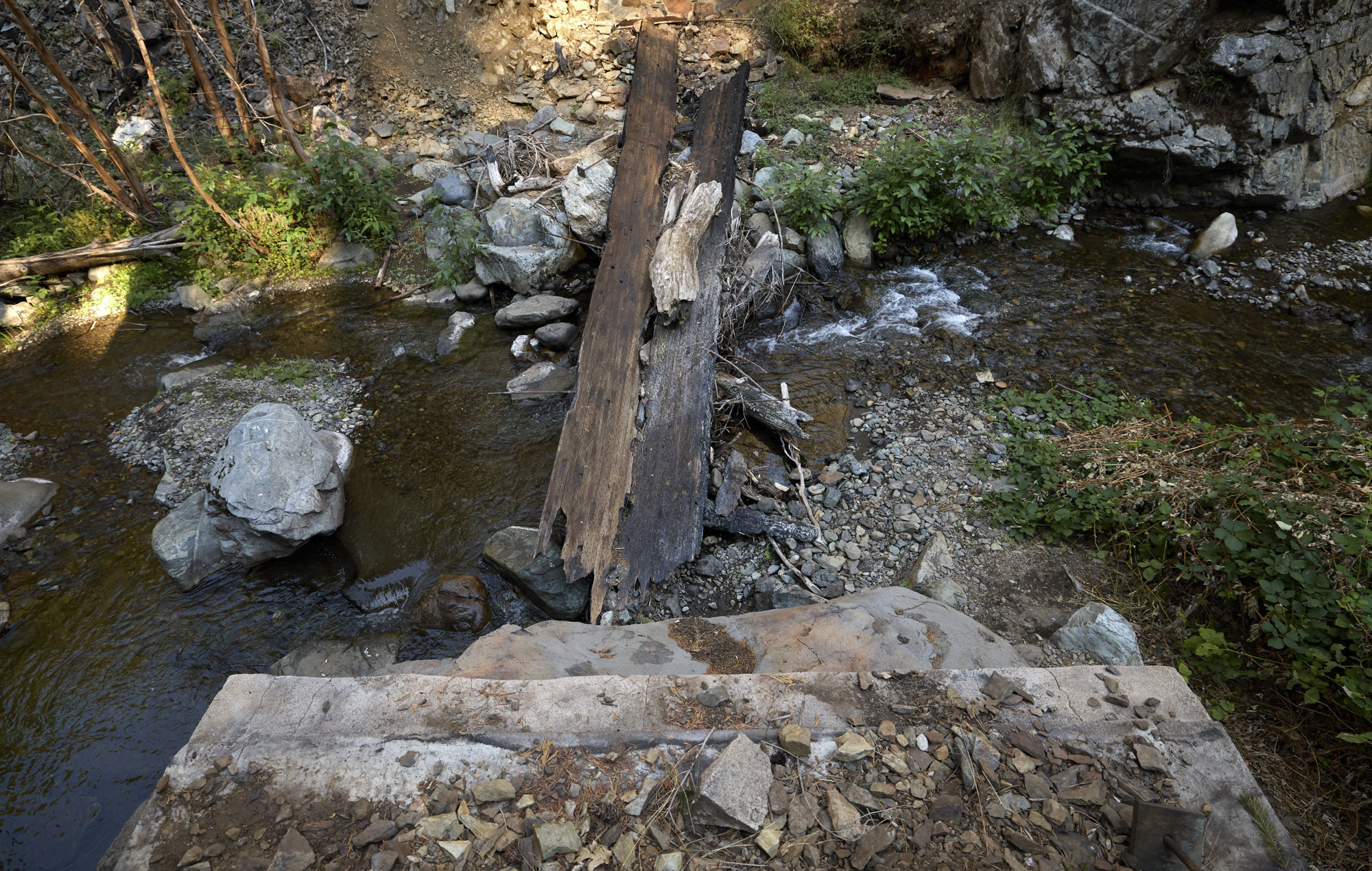 a burned log across a small river