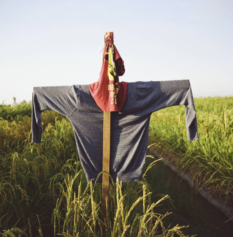 Old clothes are hung on a cross to make a scarecrow in a field.