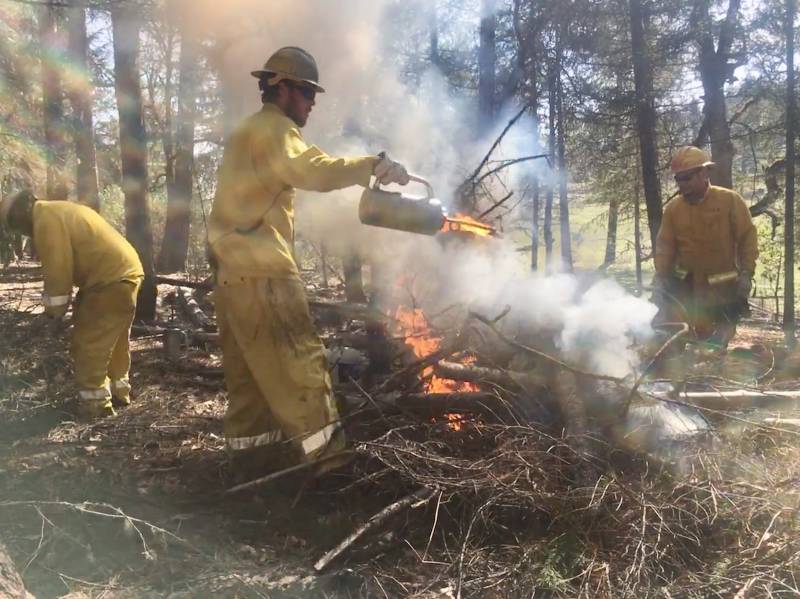 A firefighter uses an instrument to douse flames in a forest.