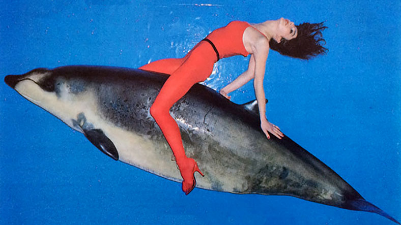 Kate Bush wears a red jumpsuit and rides a dolphin against a blue background