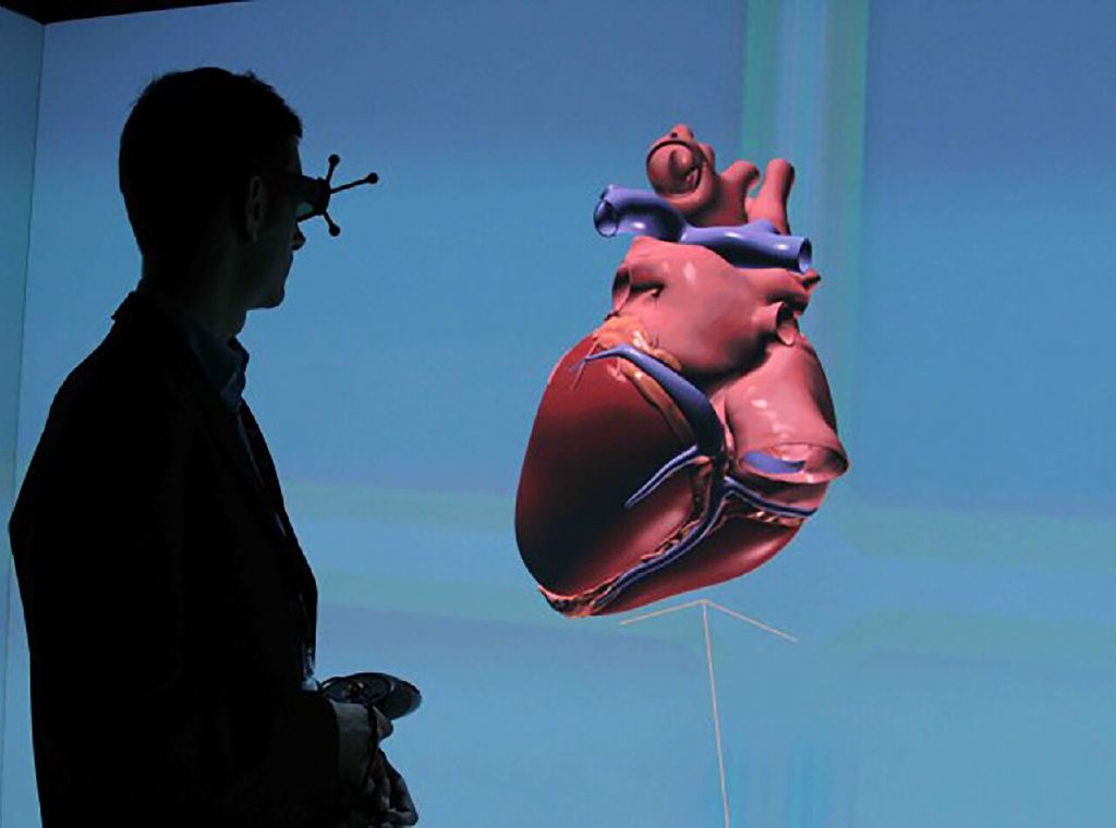 A 3-D simulation of a human heart  Living Heart Project 