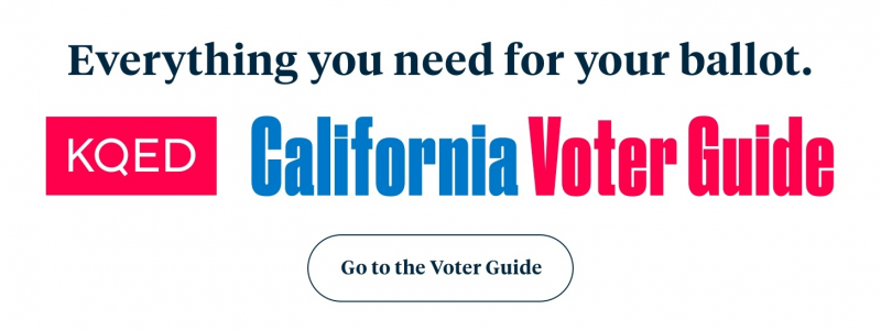 CA voter guide image