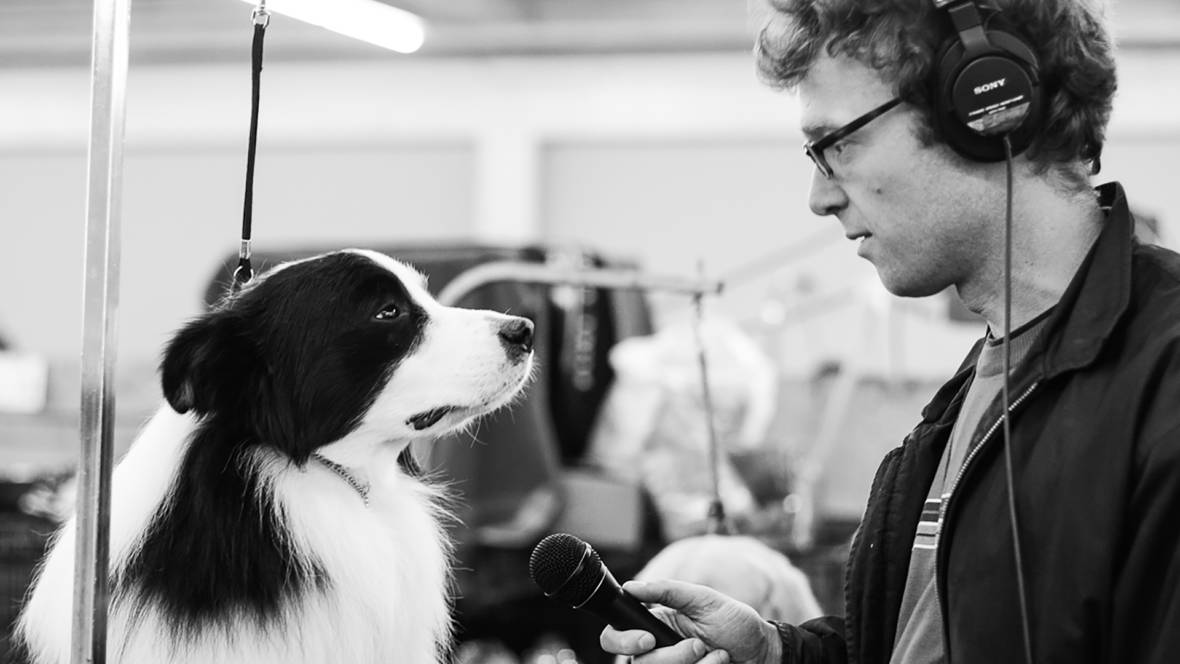 The World According to Sound's Chris Hoff interviewing a dog Photo: Alyssa Kapnik Samuel