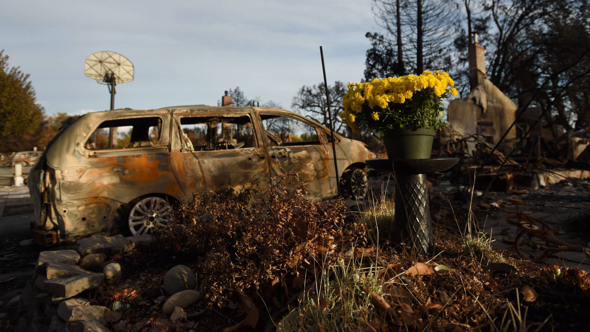 Fresh flowers are seen at a burned residence in the Coffey Park area of Santa Rosa, California on Oct. 20, 2017. JOSH EDELSON/AFP/Getty Images